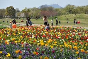 春らんまん♪花爛漫♪♪～国営讃岐まんのう公園～