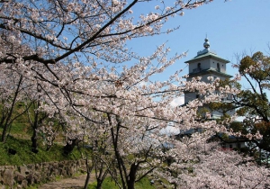 香川県桜の名所③「桃陵公園」 　