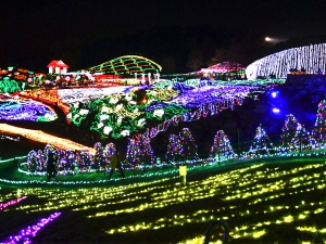 広大な大地に55万球の輝き　※まんのう公園イルミネーション　