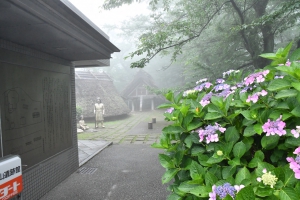 史跡「紫雲出山」の紫陽花♪　　　※7月6日空室あります