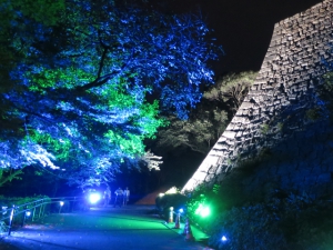 幻想的な夜の丸亀城を楽しむ「丸亀キャッスルロード」