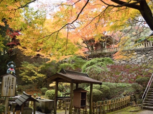 第82番札所 根香寺の紅葉が見頃♪