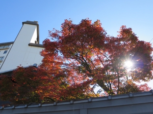 週末は温泉でほっこり過ごしませんか？　11月30日（土）、12月7日（土）空室があります。