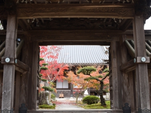 宝光寺の紅葉 　　※12月7日（土）若干空室あります。