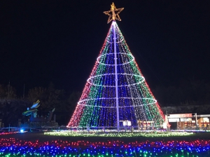 まんのう公園のイルミネーションが「全国の行ってみてよかったイルミネーションランキング第2位」