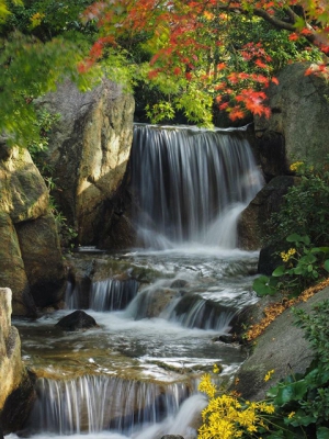 香川県の紅葉スポット②（香川用水記念公園）