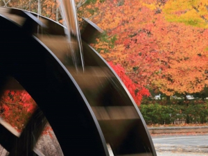 香川県の紅葉スポット②（香川用水記念公園）