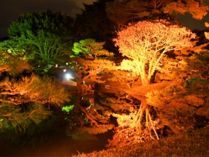 栗林公園「秋のライトアップ」