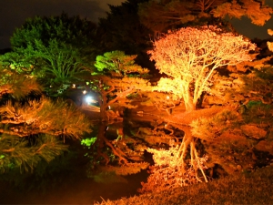 栗林公園 秋のライトアップ 紅梅亭からのお知らせ 紅梅亭 琴平にあるこんぴら温泉華の湯旅館 スマートフォンサイト