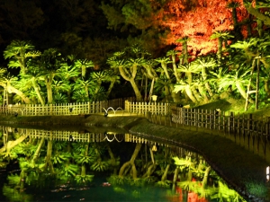 栗林公園「秋のライトアップ」