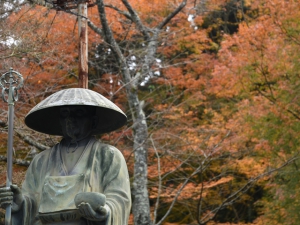 香川県の紅葉スポット　第81番札所【白峯寺】　紅葉が見頃です♪