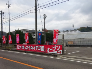 「がっこうのイチゴ園 財田上」甘くて美味しいイチゴが食べ放題♪コロナ対策してオープン