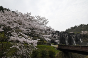 【豊稔池堰堤】まるで中世ヨーロッパの古城を思わせてくれます　※桜のお花見を楽しめます