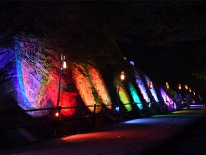 【丸亀城キャッスルロード】丸亀城内が光のオブジェやイルミネーションで幻想的な世界に！