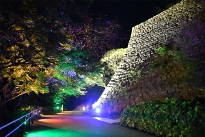 【丸亀城キャッスルロード】大手門から天守まで様々な灯りで彩る、幻想的な夜の丸亀城♪