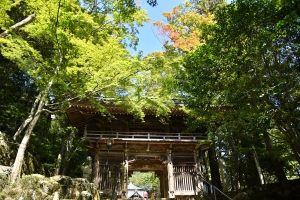 【香川の紅葉スポット】大窪寺～少し色づき始めていました