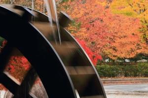 【香川の紅葉スポット】香川用水記念公園　★流れる水と紅葉のコラボを撮影♪
