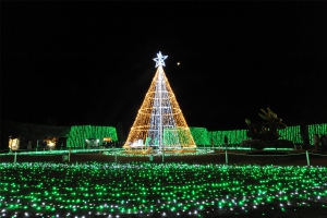 いよいよ明日11/27より　琴平発着「まんのう公園イルミネーションツアー」開催！