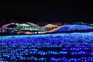 いよいよ明日11/27より　琴平発着「まんのう公園イルミネーションツアー」開催！