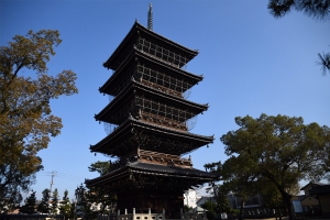 【総本山善通寺】“お大師さま“生誕の地へお詣り