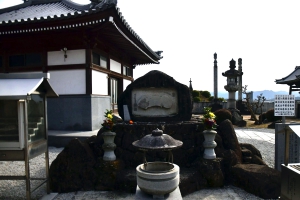 【延命院】今年もロウバイの花が咲き始めています♪