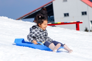 【雲辺寺山頂公園】2月週末限定イベント「雪遊び」開催中♪