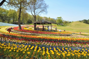 【国営讃岐まんのう公園・春らんまんフェスタ】3/19～5/8　春のフラワーリレー満喫♪