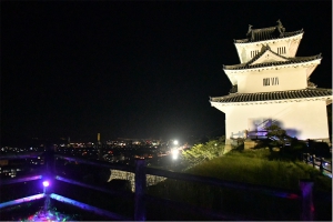 【丸亀城キャッスルロード】秋夜に丸亀城を彩る光のオブジェ幻想空間が広がります