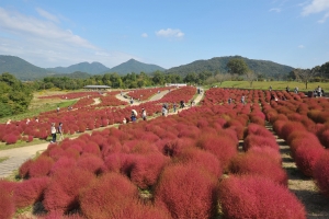 【国営讃岐まんのう公園】9月17日から「秋！色どりフェスタ」開催！