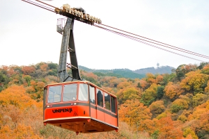 【紅葉スポット】もみじ寺・雲辺寺　まもなく紅葉が見頃♪　