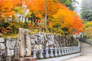 【紅葉スポット】もみじ寺・雲辺寺　まもなく紅葉が見頃♪　