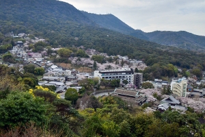 琴平町（金刀比羅宮）は香川でも有数の桜の名所♪　※例年3月下旬から4月上旬が見頃。
