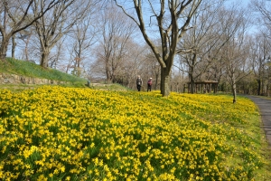 国営讃岐まんのう公園にて「春らんまんフェスタ2023」開催！