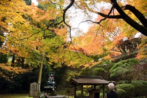 【香川の紅葉スポット】四国霊場第82番札所「根香寺」