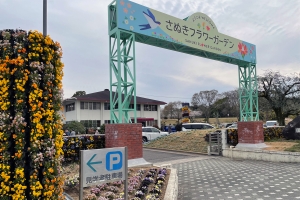 【さぬきフラワーガーデン】紅しだれ桜が見頃を迎えました🌸