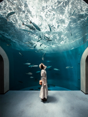 「四国水族館」の割引チケット販売スタート！ 紅梅亭フロントにてお得にゲット✨