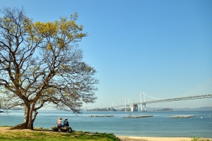 【瀬戸内国際芸術祭2025春】沙弥島でアートと絶景に癒されるひととき