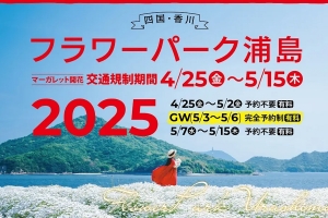 瀬戸内に咲く白の絨毯。マーガレット満開の「フラワーパーク浦島」へ