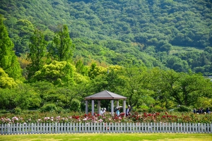 【香川のバラ名所】104種1600本のバラが咲き誇る「亀水中央公園」へお出かけ♪