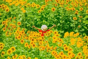 🌻【明日7月19日から開催！】まんのう公園「サマーフェスタ」で夏の思い出づくり🌞🚗