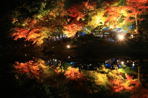 ✨特別名勝 栗林公園「秋のライトアップ」🍁幻想的な紅葉夜景を満喫✨