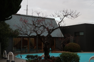 春の訪れをひと足早く🌸梅香る庭園と温泉時間【1月24日（土）空室あり】