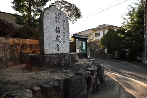 ひと足早い春へ🌸福成寺「椿寒桜」見頃のご案内|紅梅亭から車で約20分
