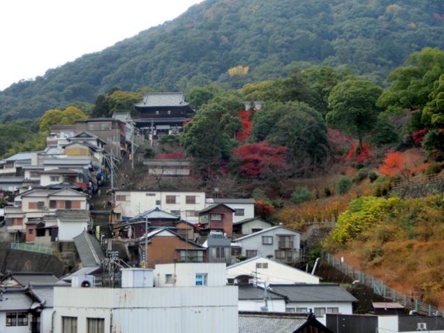 金刀比羅宮　紅葉情報～♪