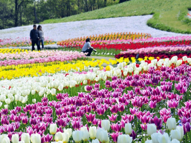 まんのう公園に出かけよう！！