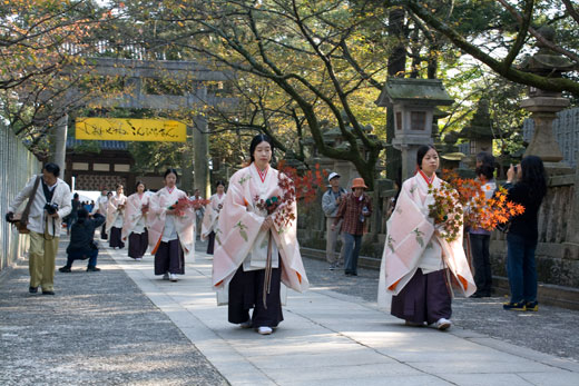 ☆金刀比羅宮　紅葉祭☆