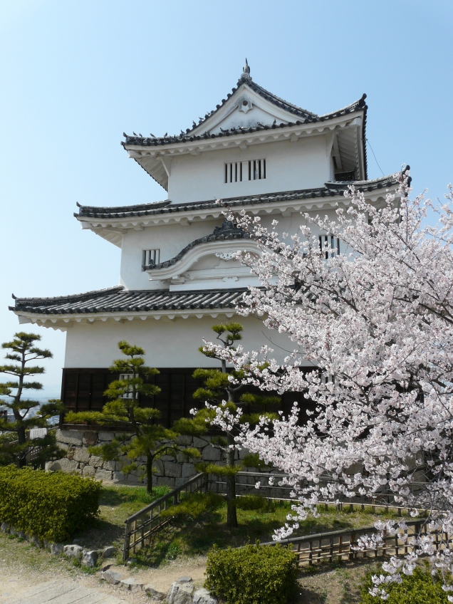 桜スポット①丸亀城