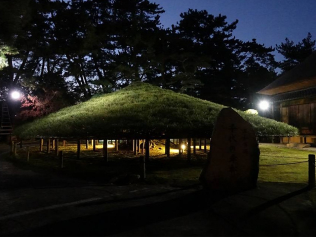 【中津万象園】日本の名松百選　「大傘松のライトアップ」開催中！