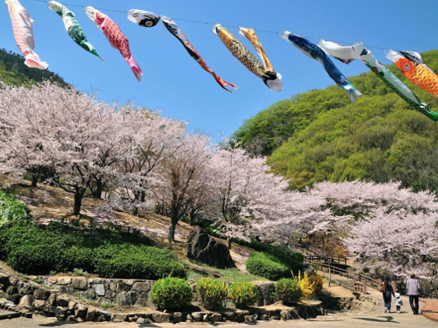 香川の桜の名所⑦「不動の滝カントリーパーク」