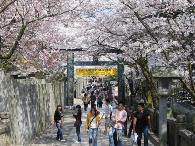 卒業旅行におすすめスポット　「金刀比羅宮」は桜の名所